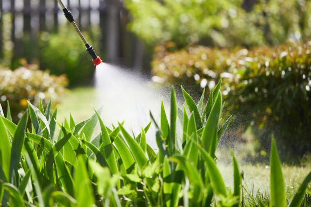 Tamper-Resistant Bait Stations for Rodents in Tallassee
