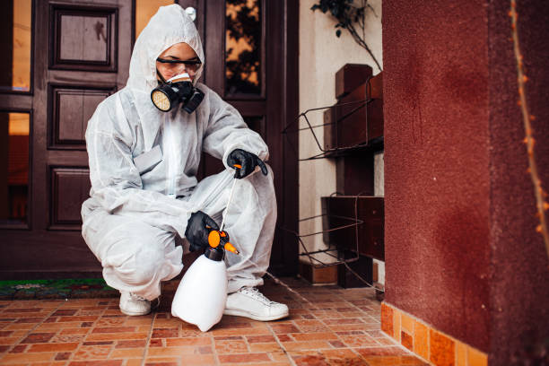 Attic and Crawl Space Rodent Treatment in Tallassee