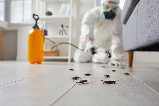 Commercial Rodent Management in Tallassee